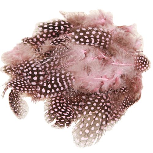 Ægte perlehønsfjer pink med prikker 4-12cm 100 stk.