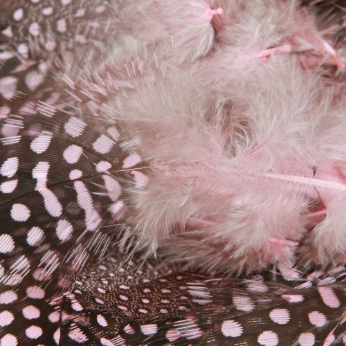 Artikel Ægte perlehønsfjer pink med prikker 4-12cm 100 stk.