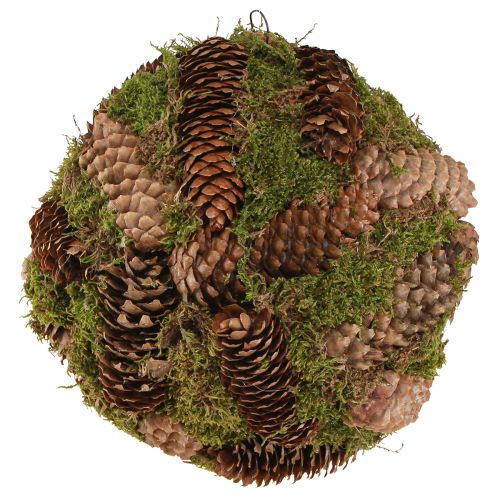 Artikel Ægte kogler dekorativ kugle med mos naturlig dekoration Ø25cm H25cm