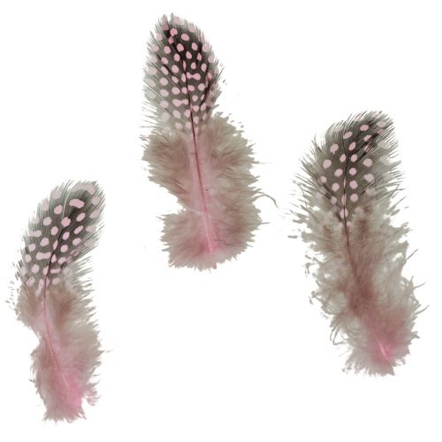 Ægte perlehøns fjer pink med prikker 4-12cm 100stk