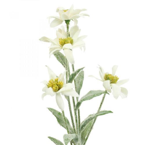 Edelweiss kunstig blomst hvid flokket 38cm