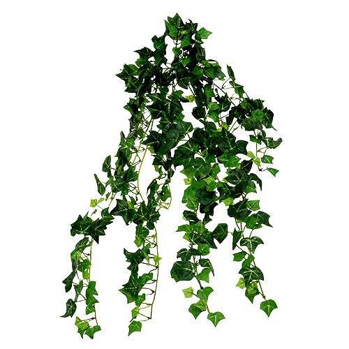 Floristik24 Ivy ranke grøn 70cm