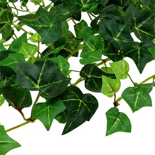 Floristik24 Ivy ranke grøn 70cm