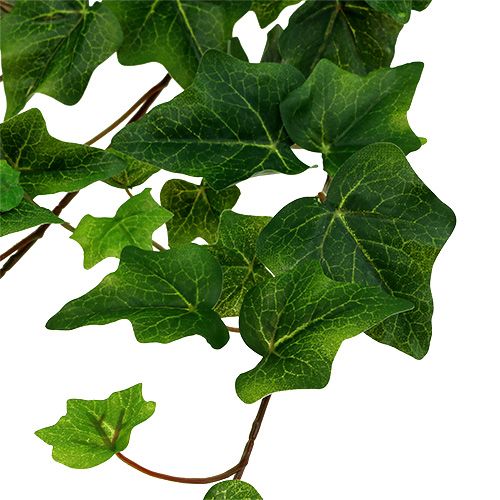 Floristik24 Kunstig efeugrøn 60cm
