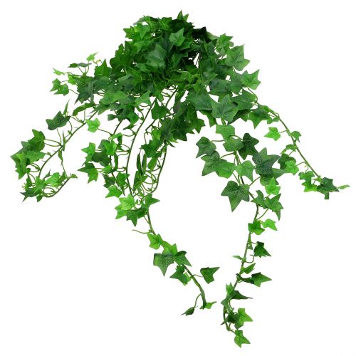 Floristik24 Ivy bøjle grøn 60cm