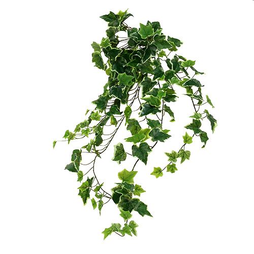 Floristik24 Ivy bøjle 80cm hvid-grøn