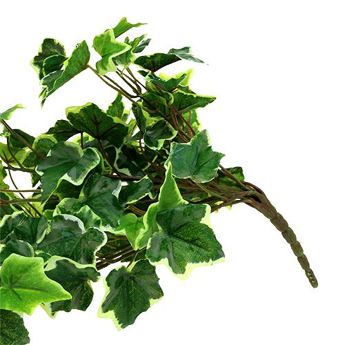Floristik24 Ivy bøjle 80cm hvid-grøn