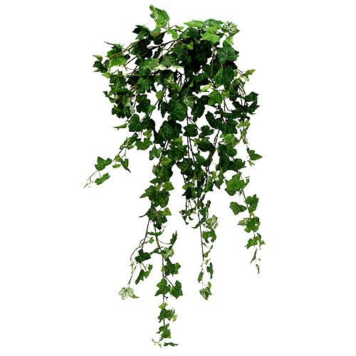 Floristik24 Ivy hænger grøn 90 cm