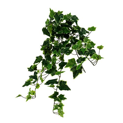 Ivy bøjle hvid-grøn 70cm