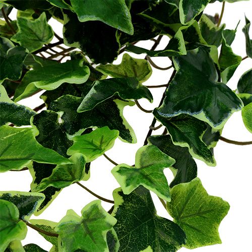Floristik24 Ivy bøjle hvid-grøn 70cm