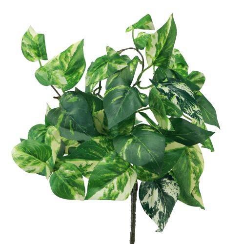 Floristik24 Vedbendplante Pothos efeu kunstig guldslynge 50cm