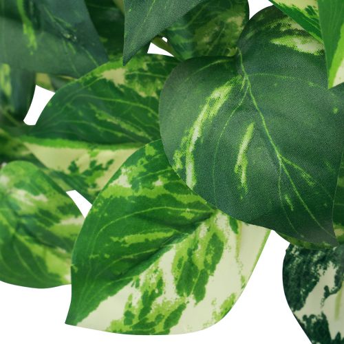 Floristik24 Vedbendplante Pothos efeu kunstig guldslynge 50cm