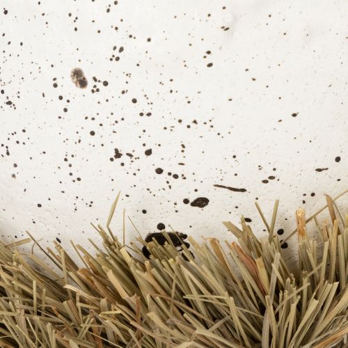 Artikel Påske redeskål i æggeform til forårsdekoration 11 cm 4 stk.