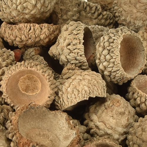 Artikel Agernhætter naturlige dekorative agern til hobbybrug 1,5 cm 200 g
