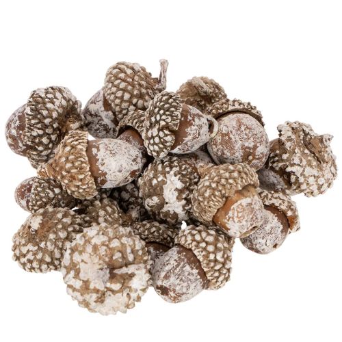 Agern, naturprodukt til dekoration, hvidkalkede, 1-3 cm, 300 g