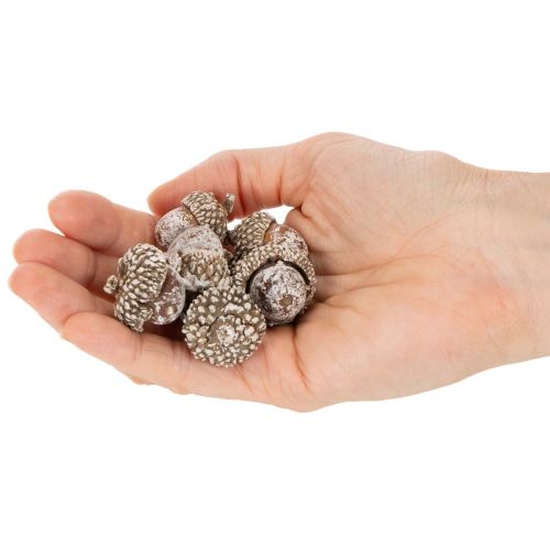 Agern, naturprodukt til dekoration, hvidkalkede, 1-3 cm, 300 g | Floristik24.dk
