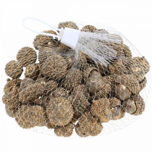 Artikel Efterårsfrugter gyldne, festlige efterårsdekorationer, dekorative agern selvfølgelig, adventsdekoration Ø1,5 - 2,5cm L1,5 - 3cm 300g