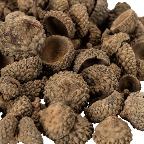 Naturlige agernhatte, dekorative skåle til efterår og advent, 2 cm, 300 g | Floristik24.dk