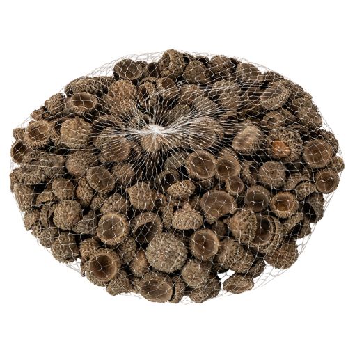 Naturlige agernhatte, dekorative skåle til efterår og advent, 2 cm, 300 g | Floristik24.dk