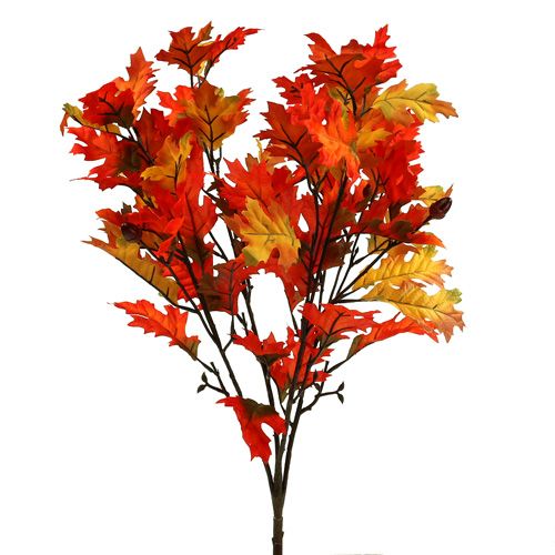 Floristik24 Egeblade busk orange 56cm