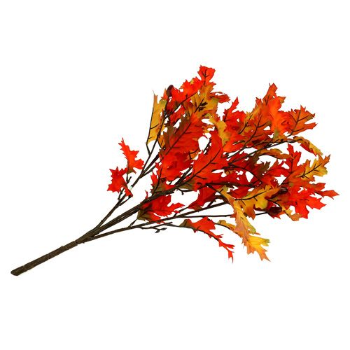 Floristik24 Egeblade busk orange 56cm