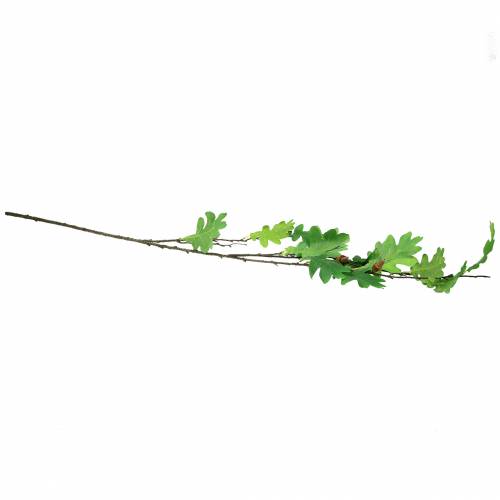 Floristik24 Egebladsgren grøn 115cm