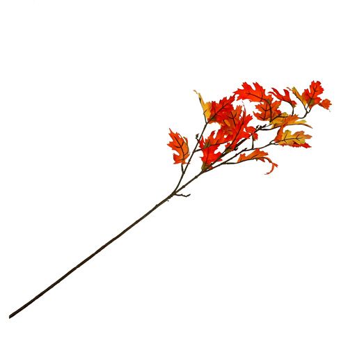 Floristik24 Egbladgren orange 84cm