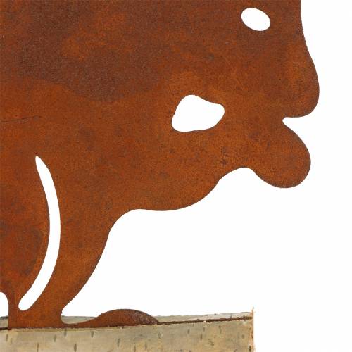 Floristik24 Egern patina på træbunden 19cm x 25cm