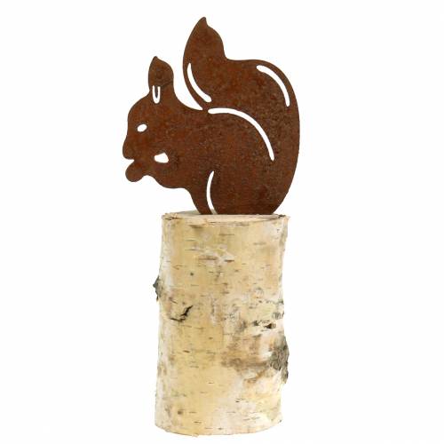 Floristik24 Egernpatina på stammen H22cm