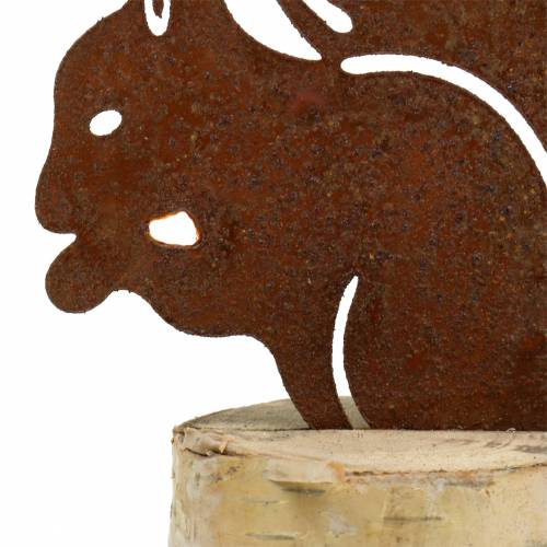 Floristik24 Egernpatina på stammen H22cm