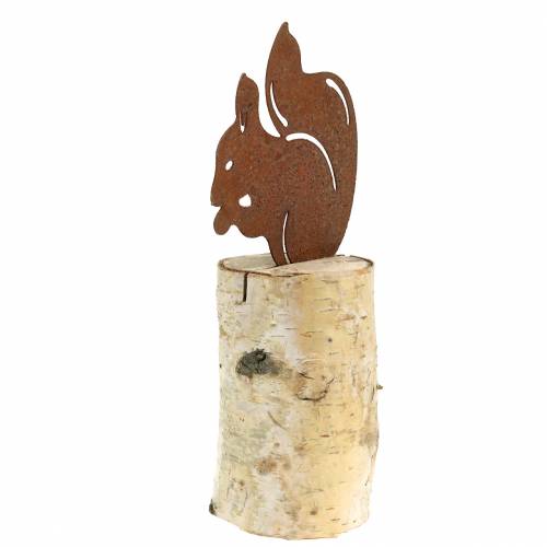 Floristik24 Egernpatina på stammen H22cm