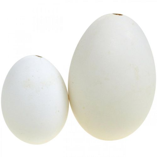 Artikel Svaneæg &amp; hønseæg blanding udblæst æg hvid 5,5/8 cm 9 stk.