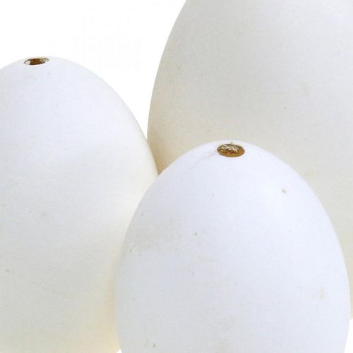 Artikel Svaneæg &amp; hønseæg blanding udblæst æg hvid 5,5/8 cm 9 stk.