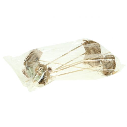 Floristik24 Deco plug fuglerede, påskedekoration, rede med æg 23cm 6 stk.