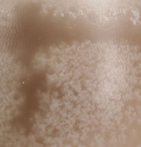 Floristik24 Dekorativt æggelys Sahara 14cm