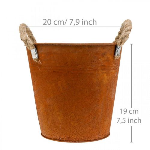 Floristik24 Dekorativ krukke med hanke, efterårsdekoration, metal skål patina Ø20cm H19cm