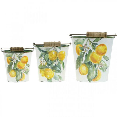 Floristik24 Dekorativ spand citroner Middelhavs plantekasse Ø13,5/11/9cm H14/11,5/cm sæt med 3 stk.