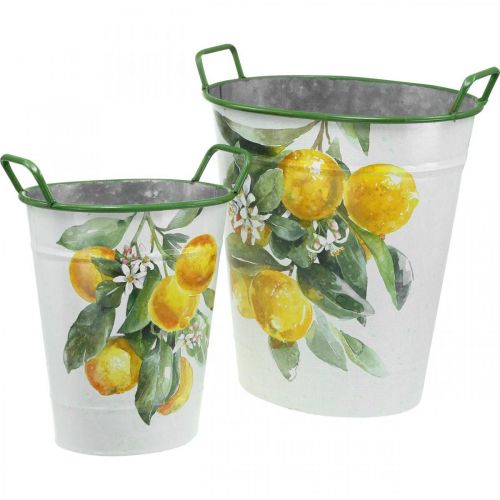 Middelhavsblik balje, plantekasse med citron motiv hvid, grøn, gul H43.5/34cm B36.5/27.5cm sæt med 2 stk.