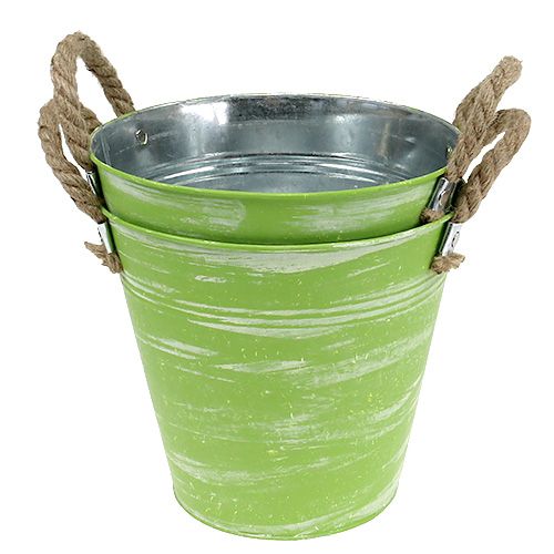 Floristik24 Spand fjedergrøn Ø25cm H24cm 2stk