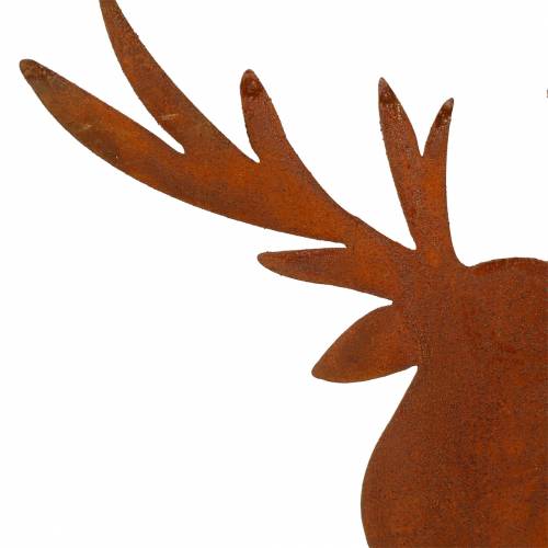 Floristik24 Elk patina til stick H58cm
