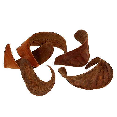 Artikel Elephant Ear Natural 25 stk
