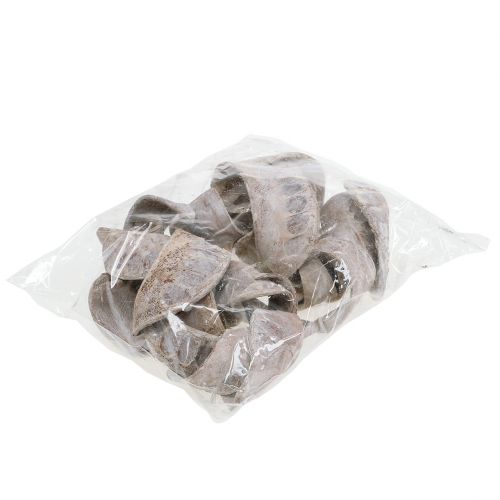 Artikel Elephant Ear White vasket 25 stk