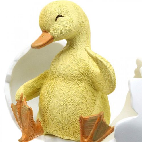 Floristik24 Udklækket kylling, andefigur, ælling i æg H10cm B12,5cm