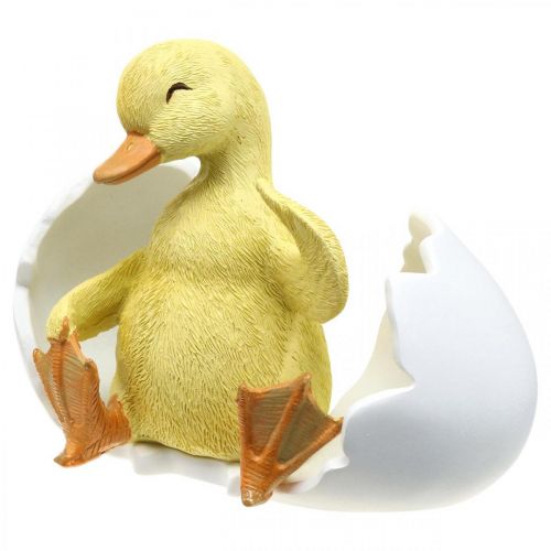 Floristik24 Udklækket kylling, andefigur, ælling i æg H10cm B12,5cm