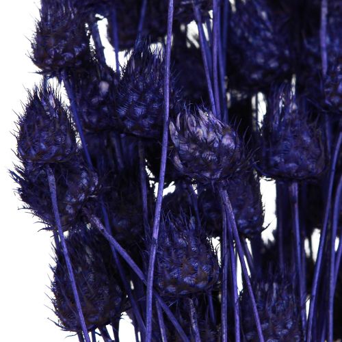 Artikel Jordbærtidsler Tørtidseltidseldekoration Violet 44-58cm 100g