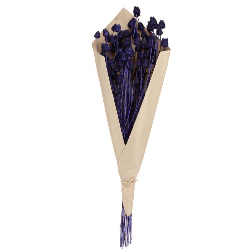 Artikel Jordbærtidsler Tørtidseltidseldekoration Violet 44-58cm 100g