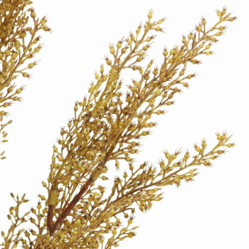 Floristik24 Dekorativ lynggren, lyngul, brun H50cm