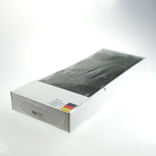 Floristik24 Erikamoos grøn 750gr