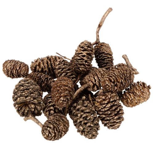 Ellekogler, naturprodukt til dekoration og hobbyarbejde, guld, 3 cm, 300 g