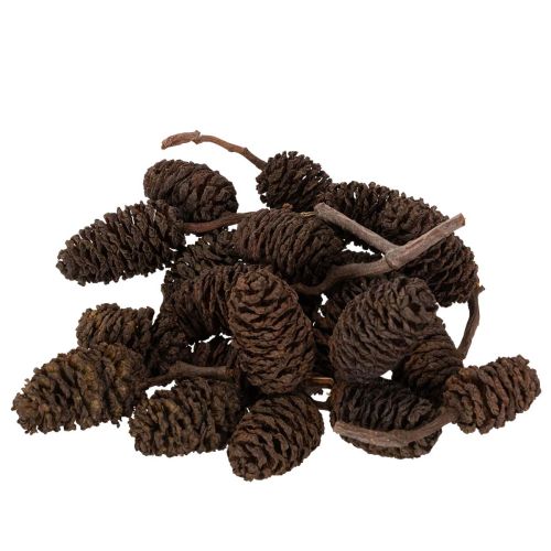 Naturlige ellekogler, løse, til dekoration, 3 cm, 300 g, naturbrun.